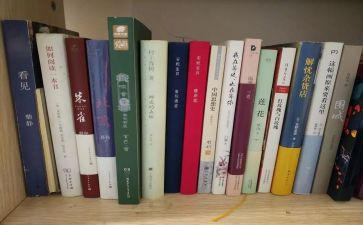 个人工作总结暨工作计划精选8篇