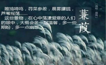蒹葭教案7篇