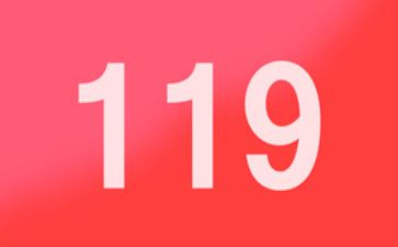 119心得体会300字模板5篇