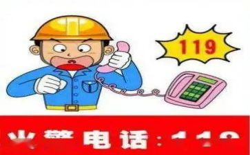 119心得体会800字6篇