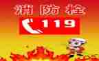 119全国消防日心得体会推荐6篇