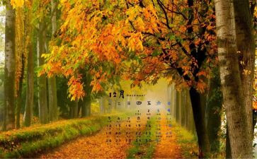 教师12月份工作计划5篇
