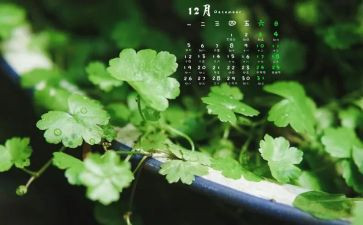 大班12月份工作计划8篇