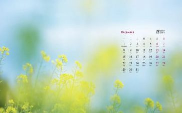 2024年12月工作总结精选7篇