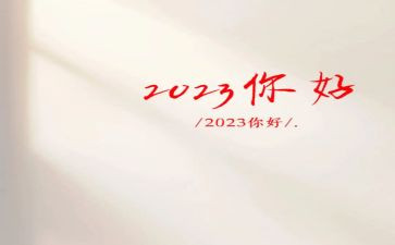 2023年局半年工作总结优秀6篇