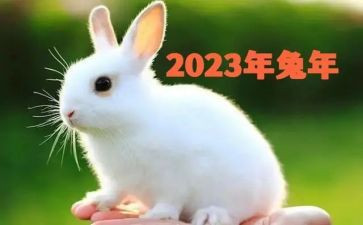 2023最美教师先进事迹5篇