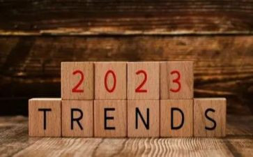 2023年中班学期工作总结优质7篇