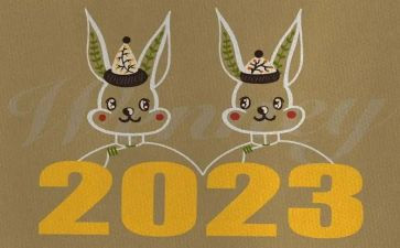 2023年防疫员工作总结优质6篇