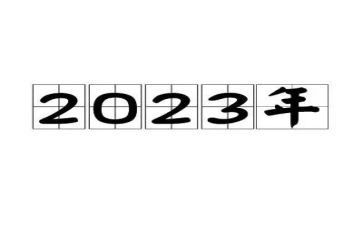 2023年局党支部工作计划优秀7篇