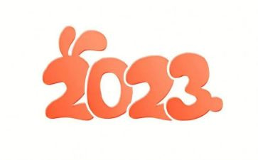 2023年局年工作总结优秀8篇