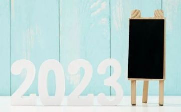 2023年局年工作总结7篇
