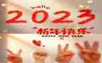 2023教师述职报告个人总结5篇