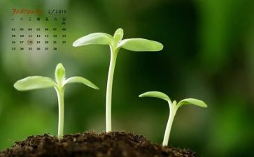 2024年2月党日活动总结5篇