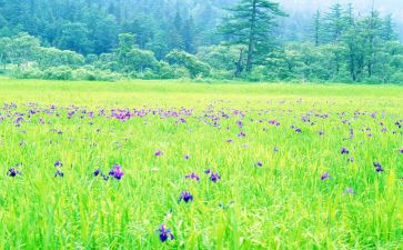 3月到6月思想汇报6篇