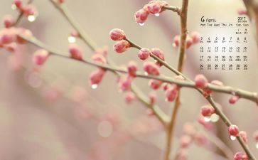 小学4月份月总结6篇