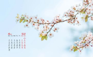 酒店4月工作总结5篇