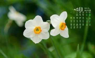 大大班4月份工作总结6篇