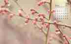 小学4月份月总结6篇