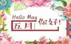 5月份教师工作总结6篇