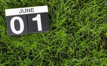 6月学校工作总结7篇