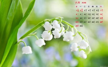 教师6月份工作总结7篇