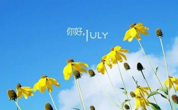教师6月总结6篇