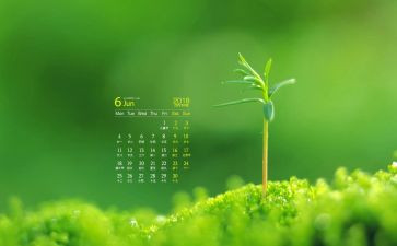 6月教师工作总结7篇