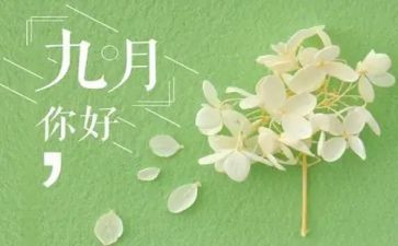 幼儿园小班9月份工作总结参考8篇