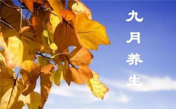 幼儿园小班9月份工作总结模板6篇