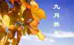 幼儿园小班9月份工作总结模板6篇