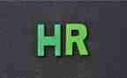 新HR工作计划模板8篇
