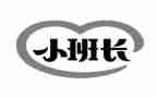 工作总结班长总结模板7篇