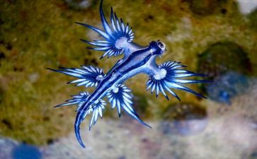 生物教师的研修总结8篇