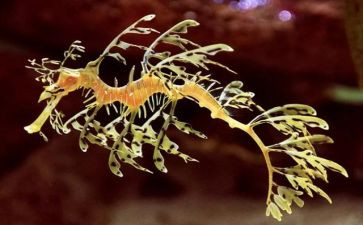 八上生物工作计划通用7篇