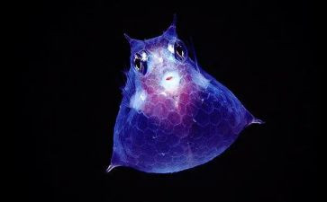 生物上学期工作计划8篇