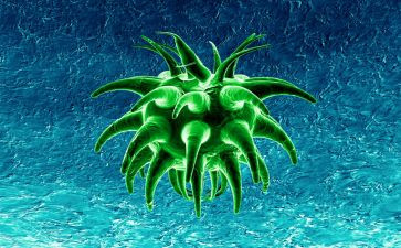 八上生物工作计划6篇