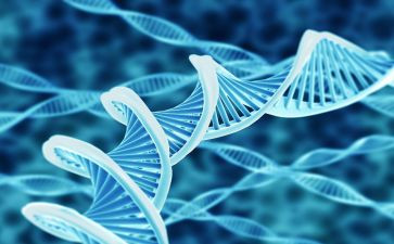 生物教研研活动总结5篇