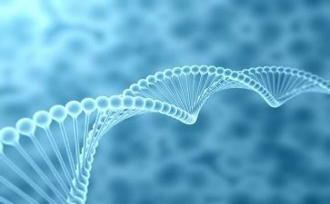 生物的演讲稿6篇