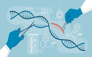 有关生物的工作计划6篇