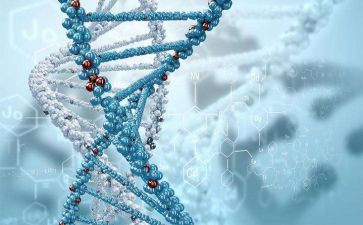 初一生物调查报告5篇