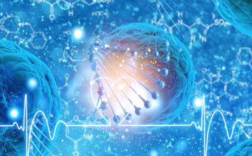 生物个人研修总结8篇