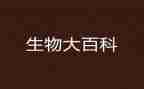 生物室工作总结6篇