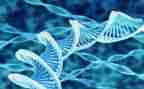 生物教研研活动总结5篇