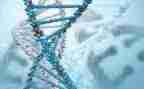 初一生物调查报告5篇