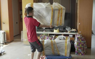 豆宝宝搬家教案5篇