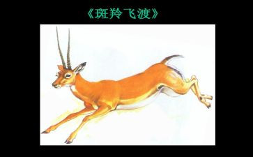 斑羚飞渡教案最新5篇