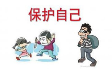保护狗的教案精选5篇