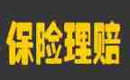 自保险公司工作总结精选8篇