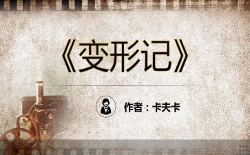 中班小猪变形记教案6篇