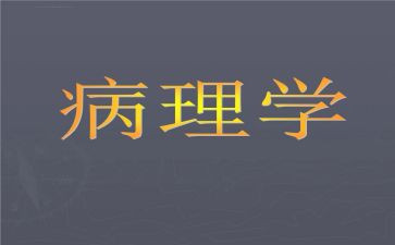 病理科述工作计划8篇